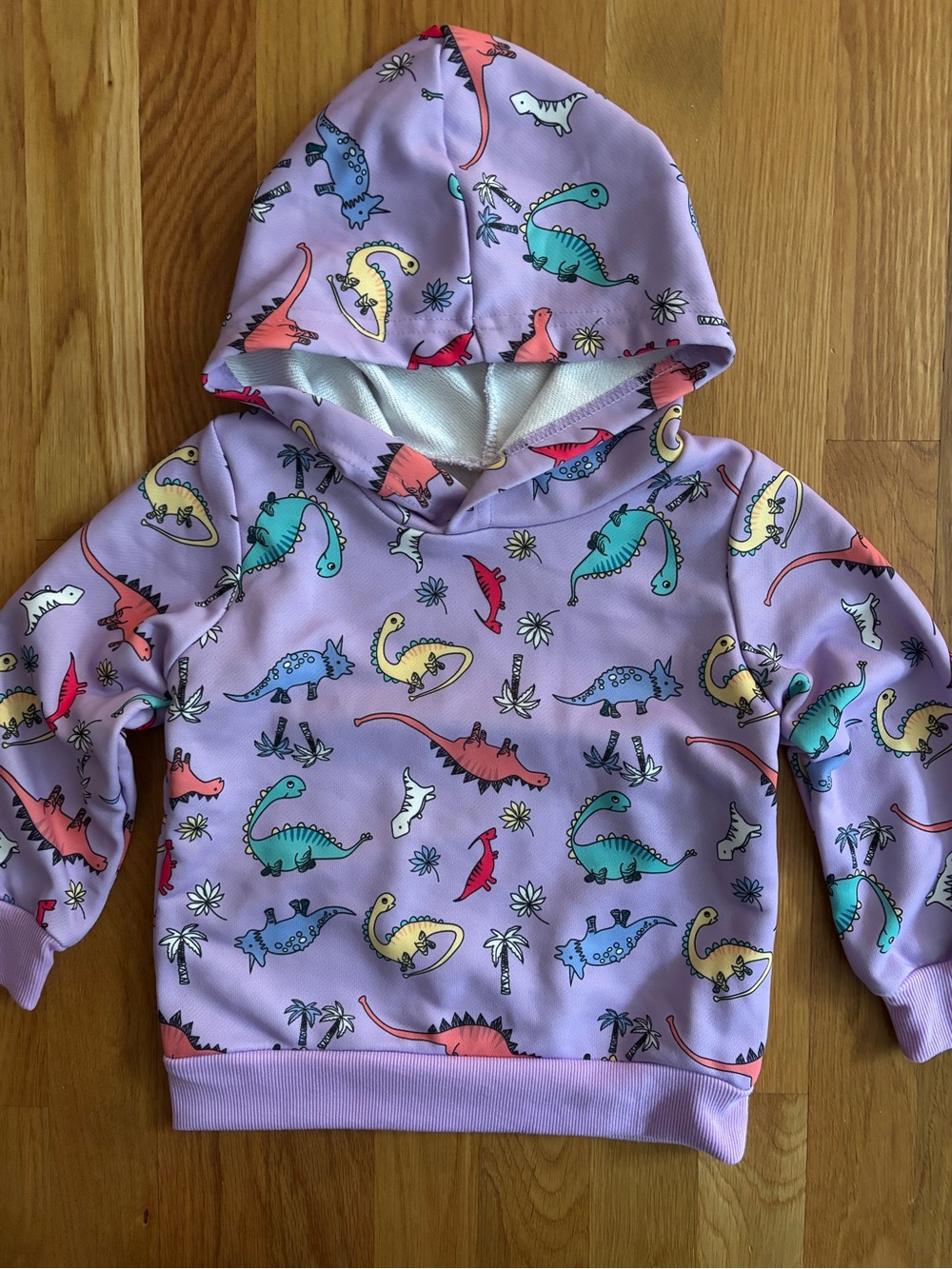 3T Purple Dinosaur Hoodie